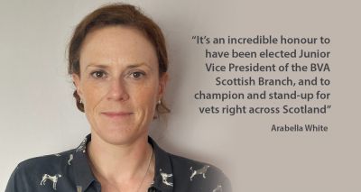 BVA Scottish Branch elects new junior vice president